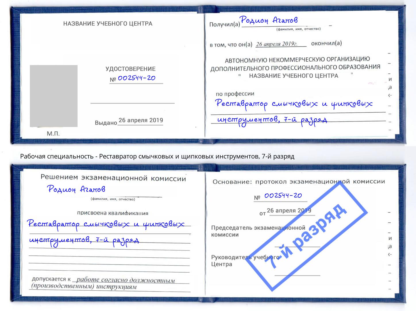 корочка 7-й разряд Реставратор смычковых и щипковых инструментов Орел